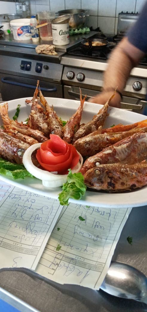 Red mullet